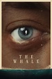 The Whale (2022) — The Movie Database (TMDB)