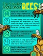 Top 5 coolest facts about… Honey Bees… Buuuzzzzzz!