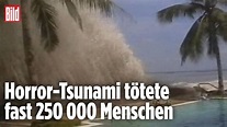 Tsunami von 2004: Folgen der Katastrophe immer noch sichtbar ...
