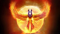 Fire Phoenix Wallpapers - Top Free Fire Phoenix Backgrounds ...