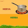 Hierva vs. hierba Bilingual Classroom, Google, Kindergarten Math, Herbs ...