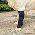 Dogs Injured Leg Protector Legguards Bandages Protect Pad Help Heal ...