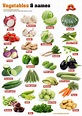 Vegetables Names