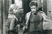 A Streetcar Named Desire (1951) - Toronto Film Society