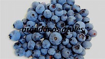 How to say blueberries in Spanish? arándanos azules - YouTube