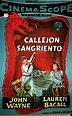Callejón Sangriento