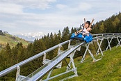 Drachental Family Park | Wildschönau Tourist Board