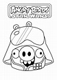 Angry Birds Star Wars coloring pages to download for free - Angry Birds ...