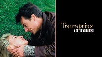 Traumprinz in Farbe (2003) - Plex