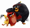 Image - ABMOVIETRIO2.png | Angry Birds Wiki | Fandom powered by Wikia