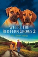 Where The Red Fern Grows Part 2 (película 1992) - Tráiler. resumen ...