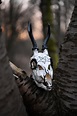 Evil-Merodach – Corpse Paint Mask – Black Metal Handmade Art by Hestus ...