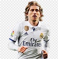 luka modric - player PNG image with transparent background | TOPpng