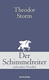 Der Schimmelreiter (Theodor Storm - marixverlag)