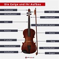 Geige: Wissenswertes zum Instrument und den Unterschieden zur Violine