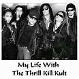 My Life With the Thrill Kill Kult | TheAudioDB.com