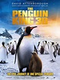 The Penguin King (Film, 2012) - MovieMeter.nl