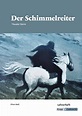 Der Schimmelreiter, Theodor Storm: Lehrerheft, Unterrichtsmaterialien ...