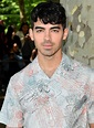 Joe Jonas | Disney Details Wiki | Fandom