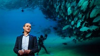 Enric Sala: Let's turn the high seas into the world's largest nature ...