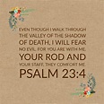 Psalm 23:4 - I Will Fear No Evil - Free Download - Bible Verses To Go