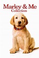 Io & Marley - Collezione - Posters — The Movie Database (TMDb)