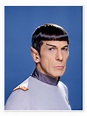 Mr. Spock, Star Trek: The Motion Picture, 1979 print by Bridgeman ...