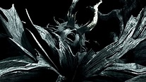 Dark Souls | The Four Kings - Dark Souls (Video Game) Photo (38531523 ...