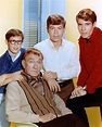My Three Sons (1960)