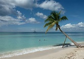 A caribbean island adventure to Isla Saona - Little Duckie's Adventures