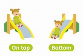 Top, Bottom And Middle Concept For Preschoolers