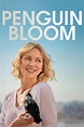 Penguin Bloom (2020) Movie Review - Aussieboyreviews