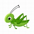 Saltamontes de dibujos animados ilustración de insecto vectorial ...