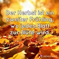 Herbst Bilder Mit Spruch | DE Spruch