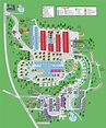 Camp Map – Yogi Bear's Jellystone Park™ in Mill Run