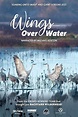 Wings Over Water - SK Films
