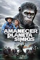 Ver El Planeta de los Simios: Confrontación 2014 online HD - Cuevana