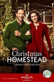 Christmas in Homestead (2016) movie poster