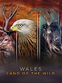 Wales: Land of the Wild Pictures - Rotten Tomatoes