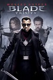 Blade: Trinity (2004) - Posters — The Movie Database (TMDB)