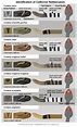 Snake Guide Size Chart