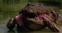 Best Crocodile Movies | 13 Top Alligator Movies Ever - Cinemaholic