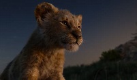 THE LION KING (2019) - A Review by John Strange | Selig Film News