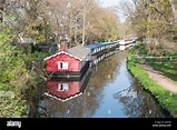 Houseboats on Basingstoke Canal, West Byfleet, Surrey, England, United ...