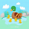 Premium Vector | Flat design mother duck and her ducklings on water