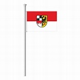 Mittelfranken mit Bezirkswappen, Flagge im Querformat – Fahnen Koessinger