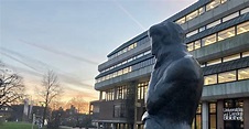 Heinrich Heine University Düsseldorf (HHU) - Academic Positions