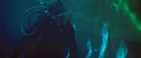 Reseña: Sea Fever - 10mo Círculo | Reseñas de Cine de Horror