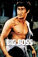 The Big Boss (1971) - Posters — The Movie Database (TMDB)