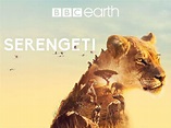 Discovery presenta el lado más salvaje de África con el estreno de ...